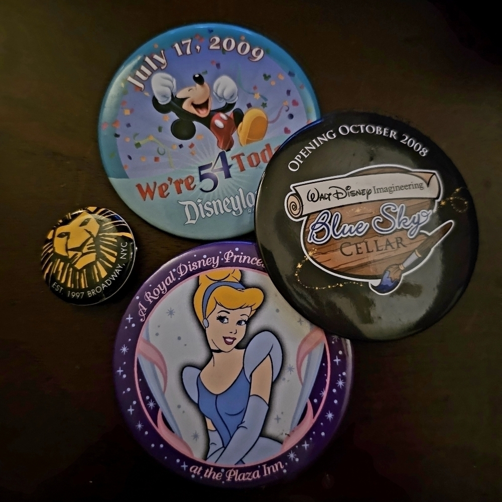 Set of Disneyland Parks Pins